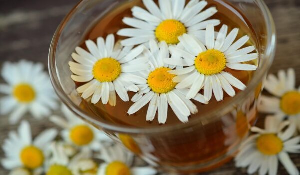 Cómo preparar té de manzanilla y para qué sirve