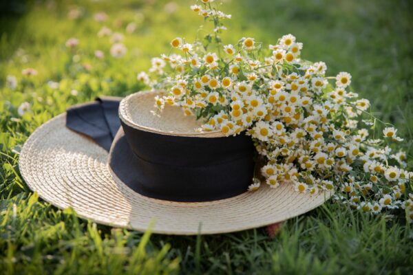 Plantas naturales utilizadas tradicionalmente para apoyar el control del peso