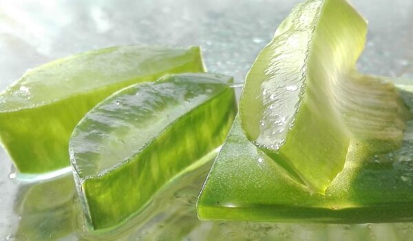 Cómo utilizar el aloe vera de forma segura